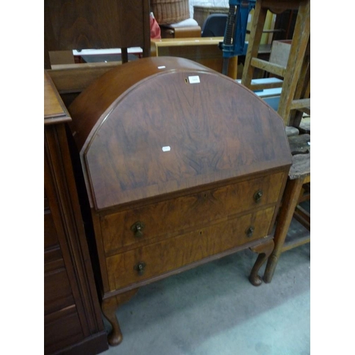 3419 - Walnut Writing Bureau