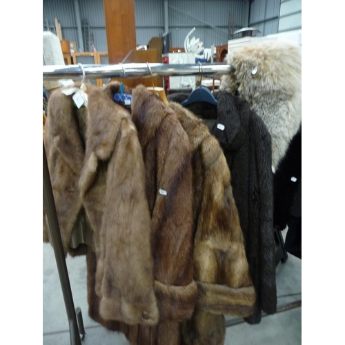 3521 - Four Ladies Fur Coats and Three Stoles