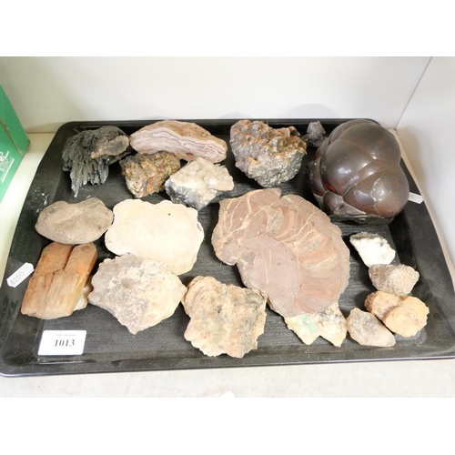 1013 - Tray Lot - Mineral & Rock Samples.