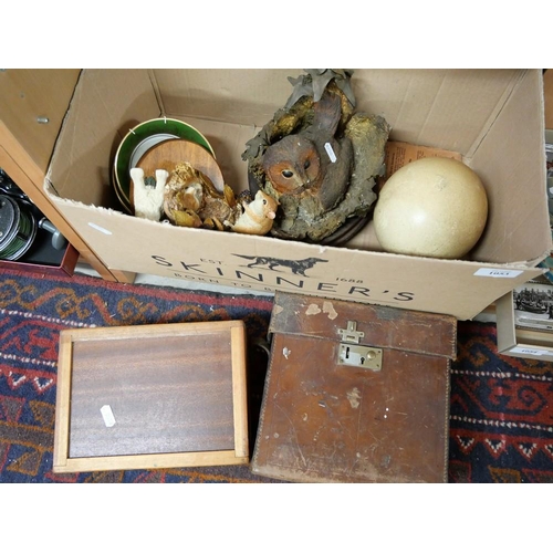 1053 - Box - Ostrich Egg, Wildtrack Owl, Leather Case etc.