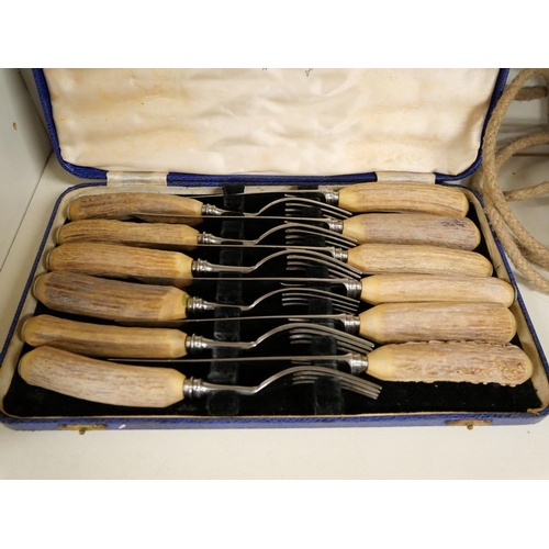 1064 - Cased Set of F & M Stag Horn Handled Steak Knives & Forks.