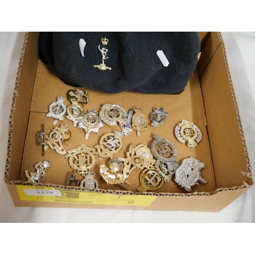 2239 - Modern Era Military Badges & Beret.