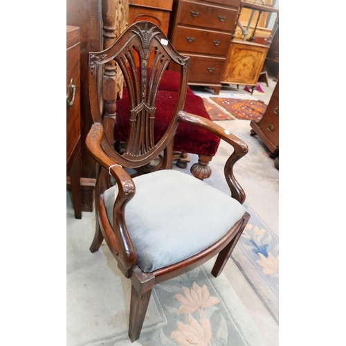 3260 - Mahogany Hepplewhite Child's Chair