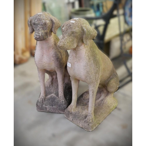 61 - Pair Of Cast Stone Dogs