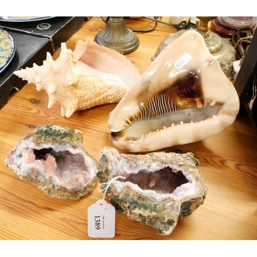 1389 - Two Polished Conch Shells & Split Geode Specimen.