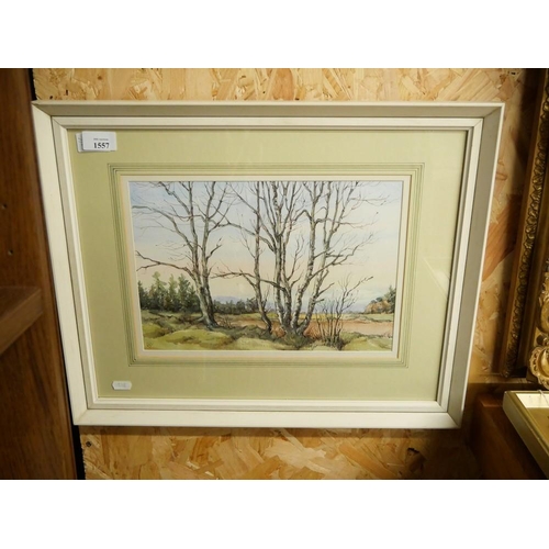 1557 - Small Framed Watercolour Culloden Signed Ray, approx 32 x 23cm.