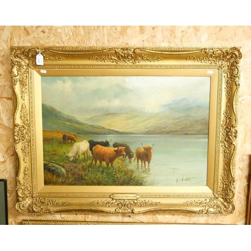 1559 - Framed Oil Painting - Highland Cattle in Landscape by Douglas Cameron, approx 74 x 49cm.