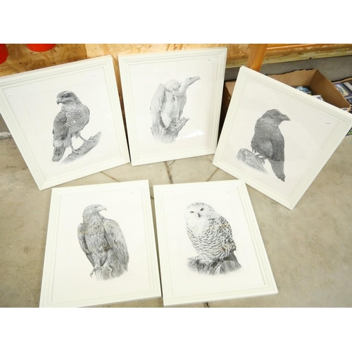 2006 - Set of Five Framed Prints - Various Birds.