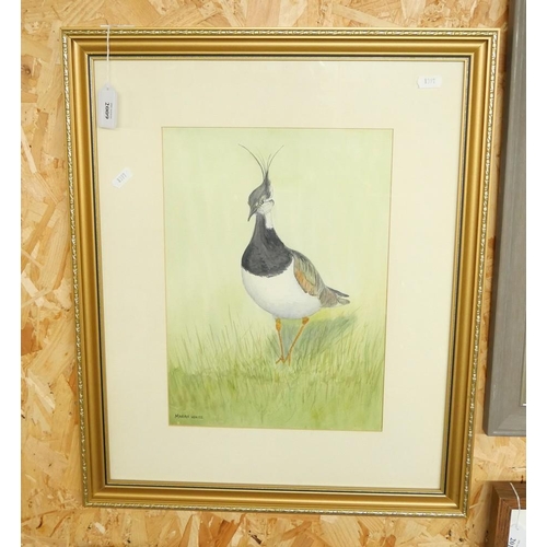 2009 - Framed Watercolour - Lapwing by Marion White, approx 24 x 35cm.