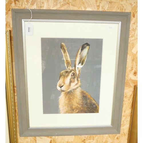 2010 - Framed Watercolour - Study of  a Hare by Lesley McInnes, approx 24 x 32cm.