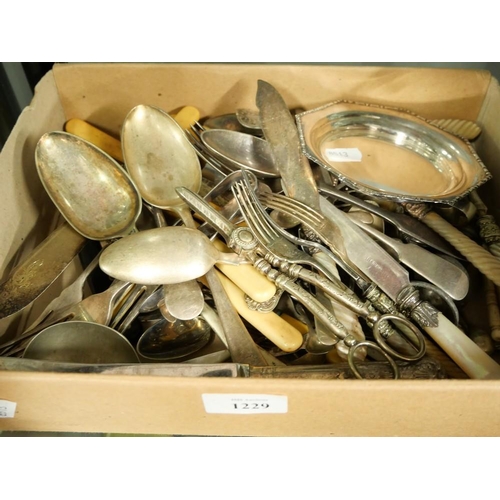 1229 - Box - Silverplated Cutlery, Spoons, Servers etc.