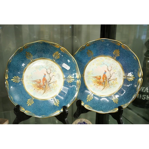 1250 - Pair of Staffordshire China Cabinet Plates, decorated with Ring Necked Pheasants in woodland Setting... 