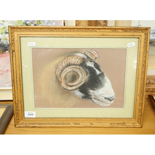 2030 - Framed Pastel, Ram Head signed Lena McCormack, approx 30 x 20cm.