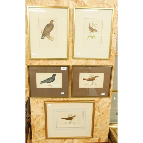 2068 - Five Framed Vintage Ornithological Prints.