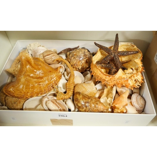 1064 - Box - Assorted Seashells, Starfish, Seahorse etc.