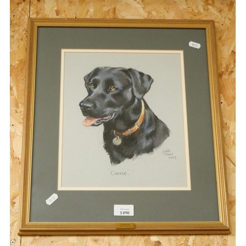 1490 - Study of a Labrador by Judith Stowell 2003, approx 24 x 29cm.