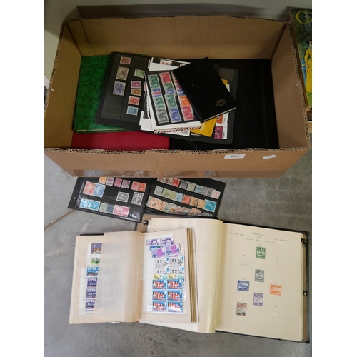 Lot 1007      