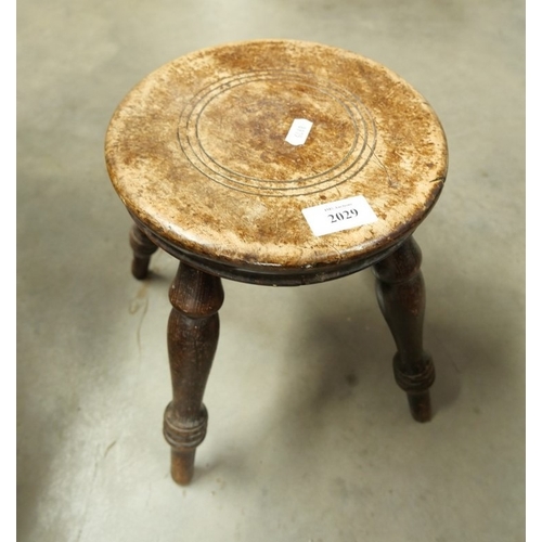 Lot 2029      