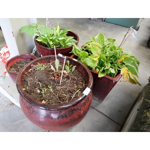 Lot 1         
