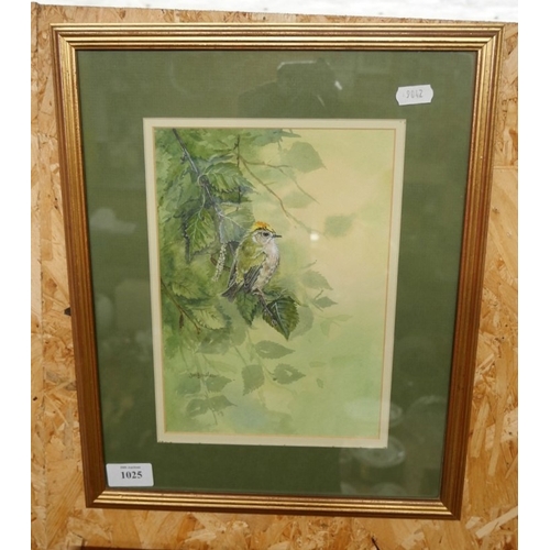 Lot 1025      