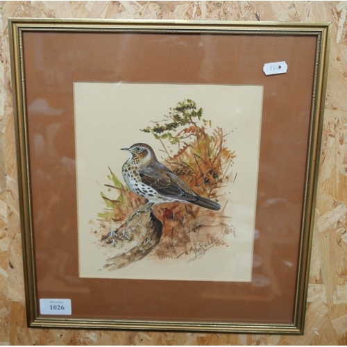 Lot 1026      