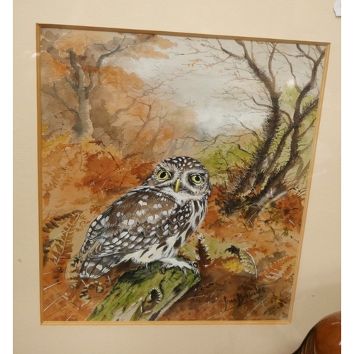Lot 1029      