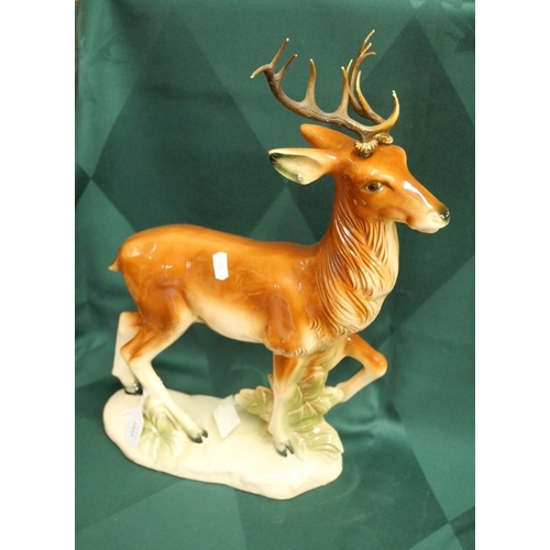 Lot 1035      