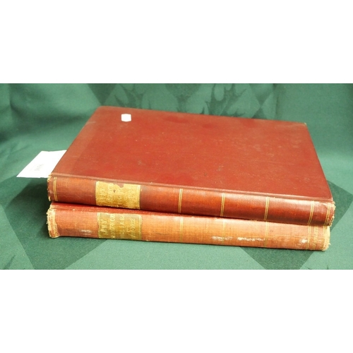 Lot 1036      