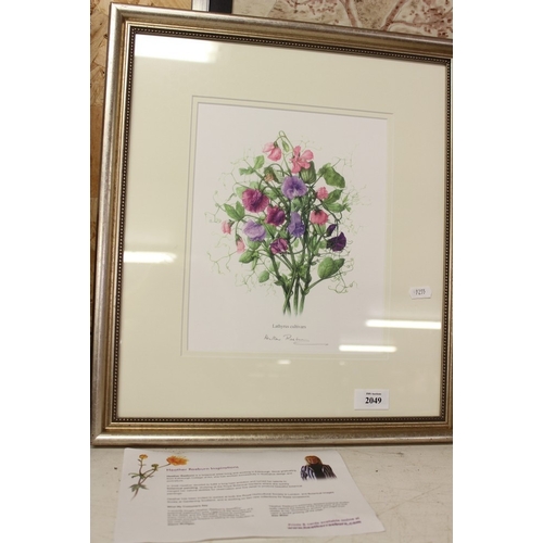 Lot 2049      