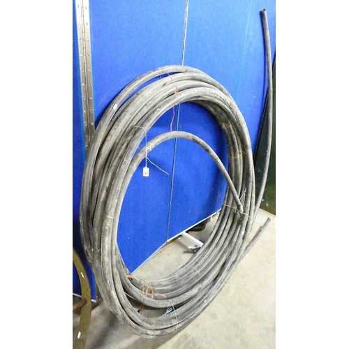 Lot 20        