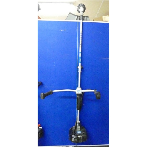 Lot 23        