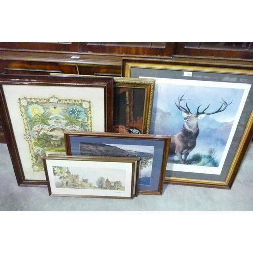 3005 - Assorted Framed Prints