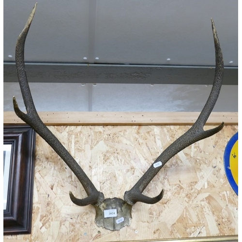 Lot 2024      