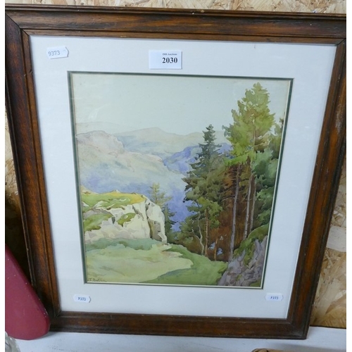 Lot 2030      
