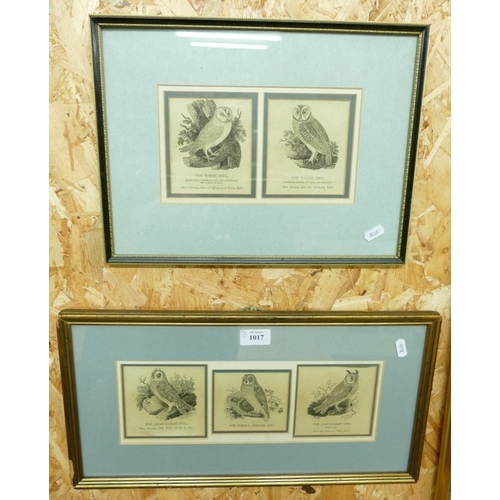 Lot 1017      