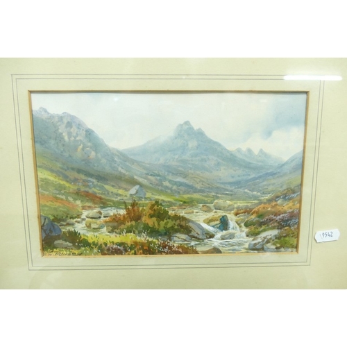 Lot 1018      