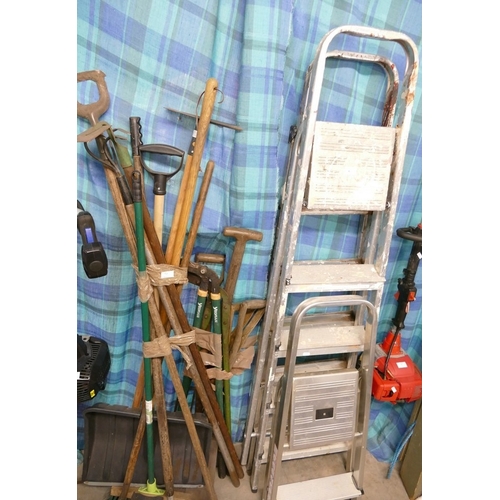 Lot 6         