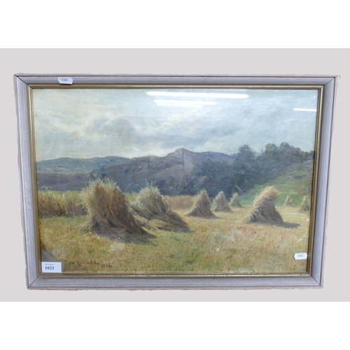 Lot 1021      