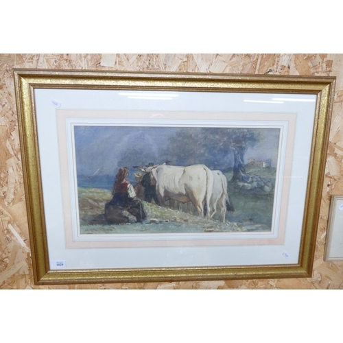 Lot 1029      