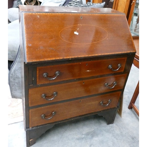 Lot 3047      