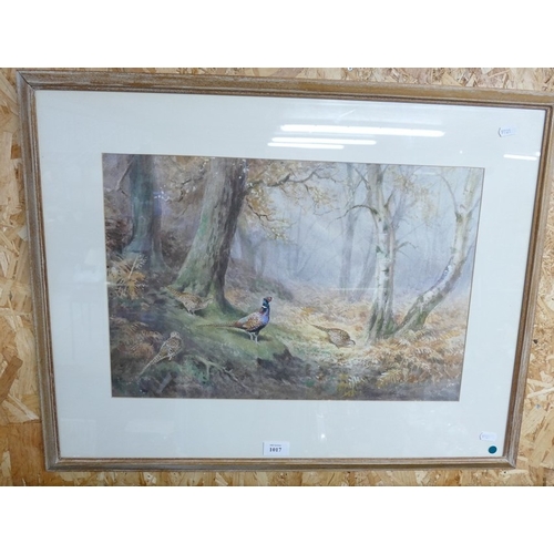 Lot 1017      