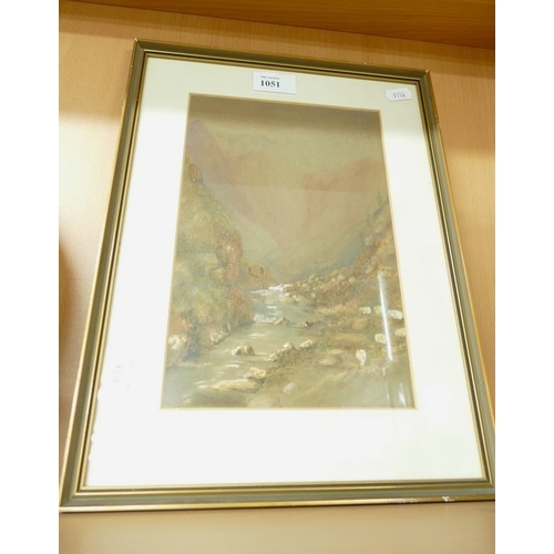 Lot 1051      
