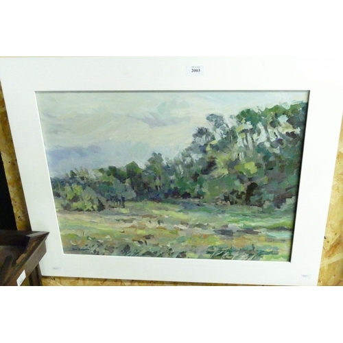 Lot 2003      