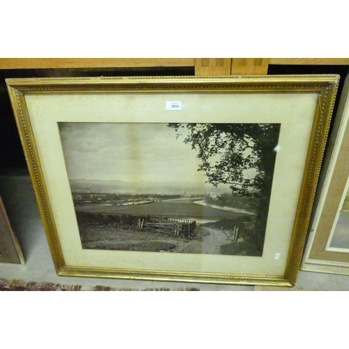 Lot 2024      