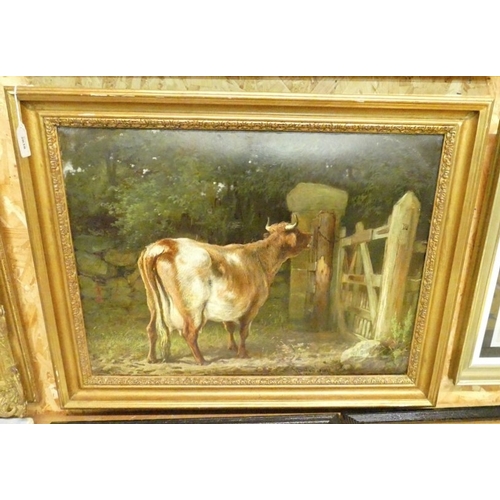 Lot 2038      