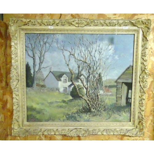 Lot 2049      