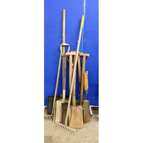 Lot 21        