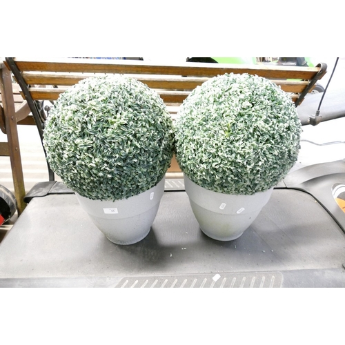 Lot 55        