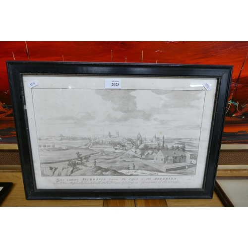 Lot 2025      