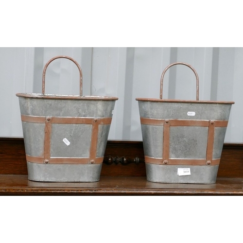 Lot 3010      